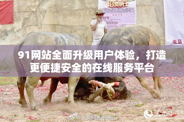 91网站全面升级用户体验，打造更便捷安全的在线服务平台