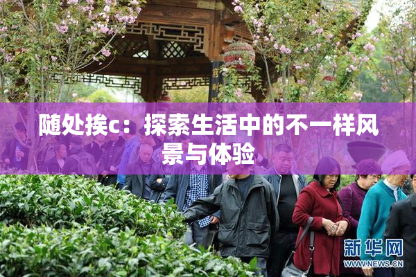 随处挨c：探索生活中的不一样风景与体验