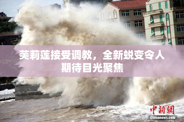 芙莉莲接受调教，全新蜕变令人期待目光聚焦