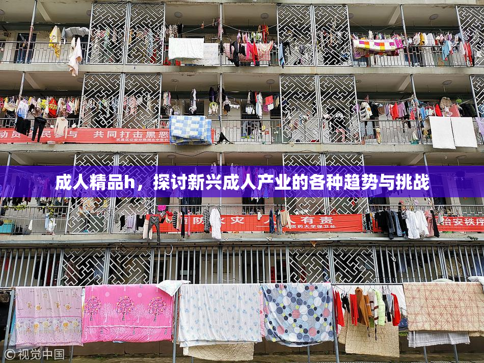 成人精品h，探讨新兴成人产业的各种趋势与挑战