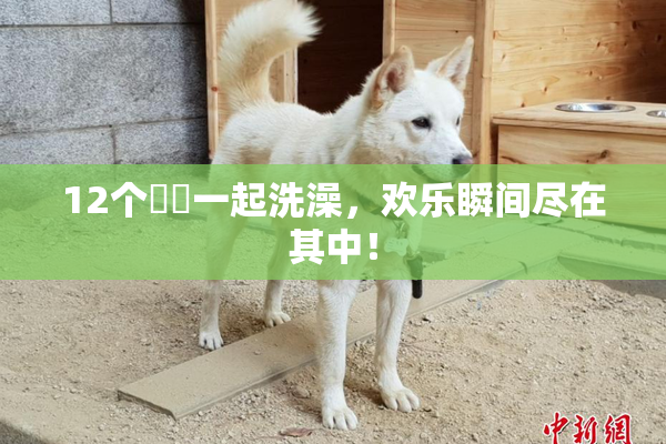 12个妺妺一起洗澡，欢乐瞬间尽在其中！