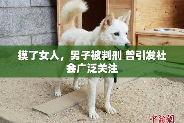 摸了女人，男子被判刑 曾引发社会广泛关注