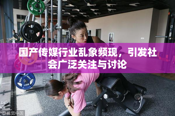 国产传媒行业乱象频现，引发社会广泛关注与讨论
