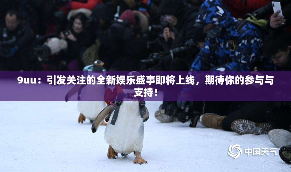 9uu：引发关注的全新娱乐盛事即将上线，期待你的参与与支持！