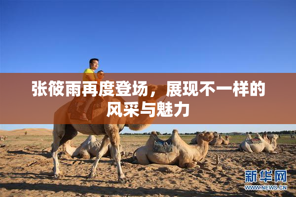 张筱雨再度登场，展现不一样的风采与魅力