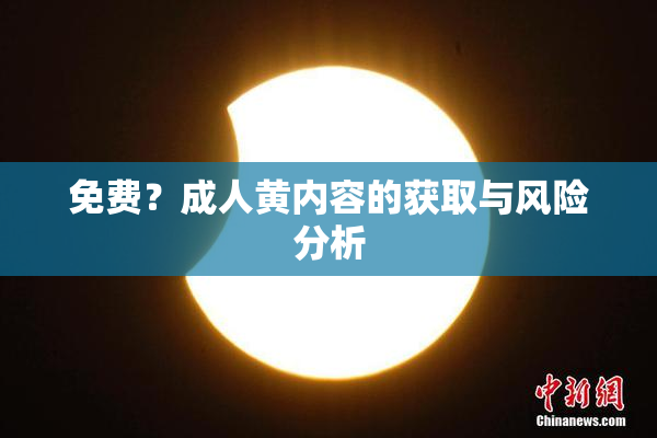 免费？成人黄内容的获取与风险分析