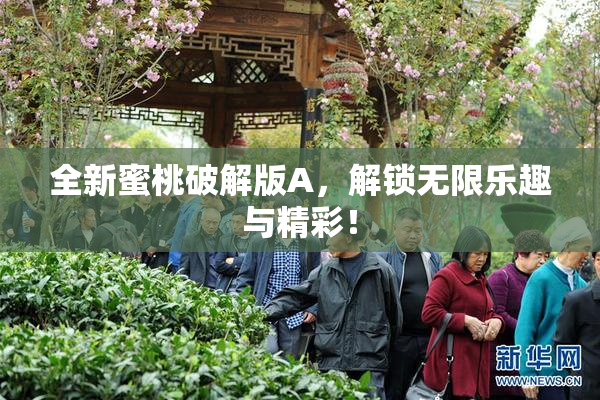 全新蜜桃破解版A，解锁无限乐趣与精彩！