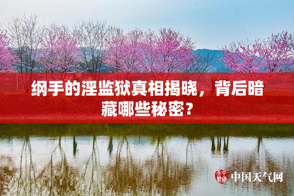 纲手的淫监狱真相揭晓，背后暗藏哪些秘密？