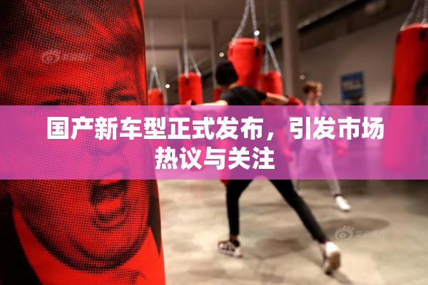 国产新车型正式发布，引发市场热议与关注