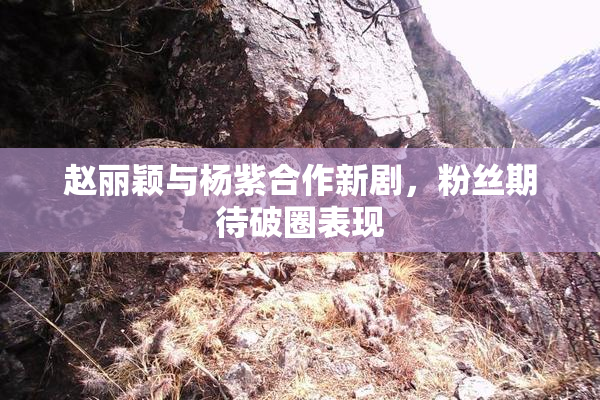 赵丽颖与杨紫合作新剧，粉丝期待破圈表现