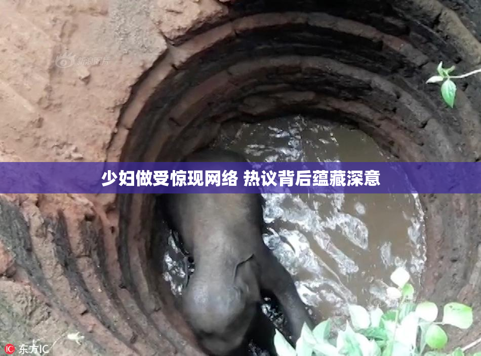 少妇做受惊现网络 热议背后蕴藏深意