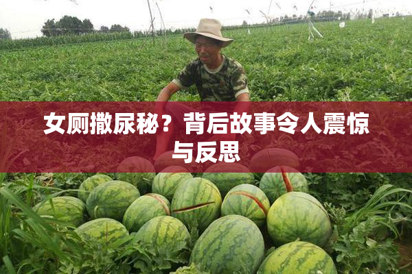 女厕撒尿秘？背后故事令人震惊与反思