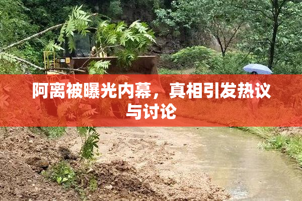 阿离被曝光内幕，真相引发热议与讨论