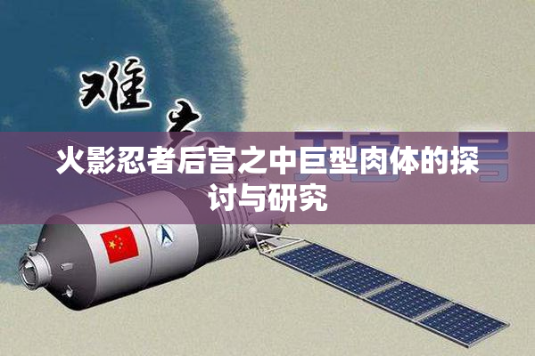 火影忍者后宫之中巨型肉体的探讨与研究
