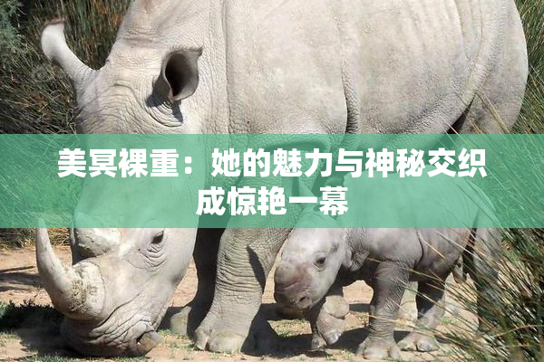 美冥裸重：她的魅力与神秘交织成惊艳一幕