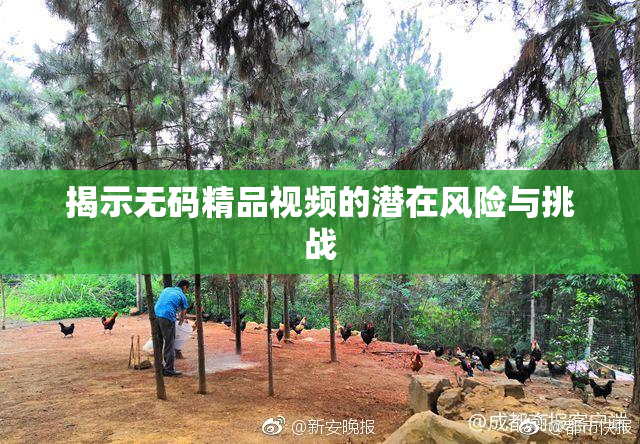 揭示无码精品视频的潜在风险与挑战