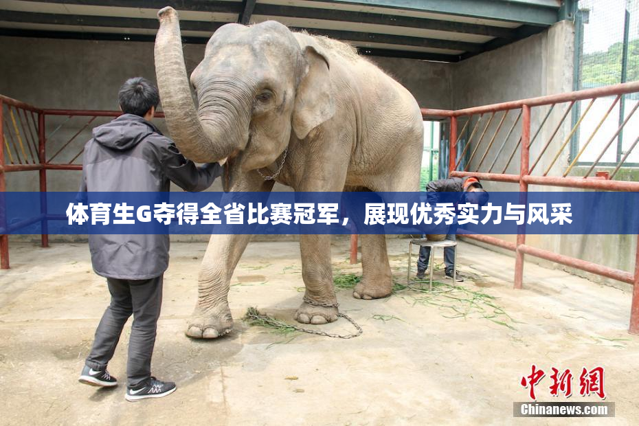 体育生G夺得全省比赛冠军，展现优秀实力与风采