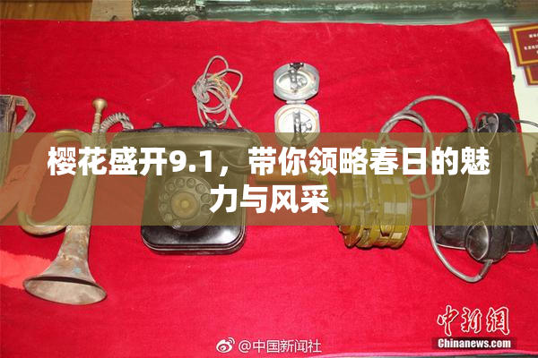 樱花盛开9.1，带你领略春日的魅力与风采