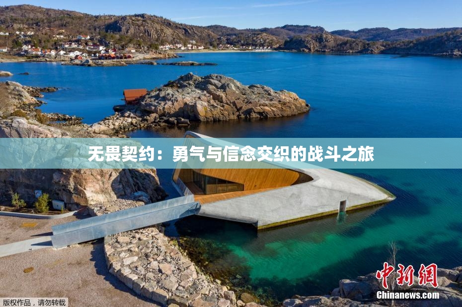 无畏契约：勇气与信念交织的战斗之旅