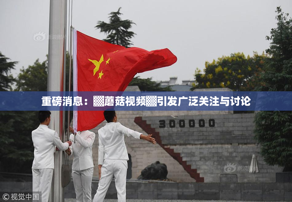 重磅消息：▓蘑菇视频▓引发广泛关注与讨论