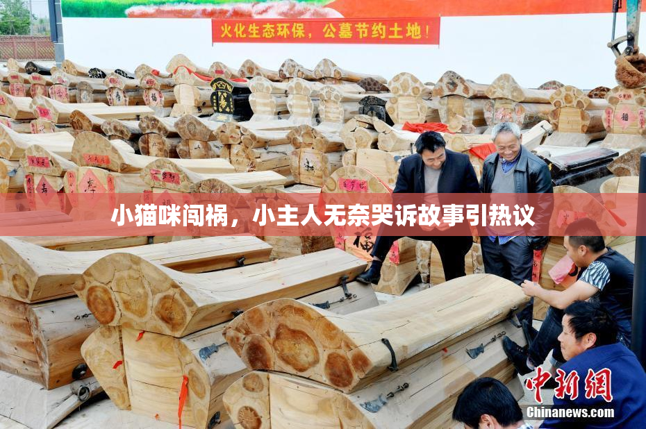 小猫咪闯祸，小主人无奈哭诉故事引热议