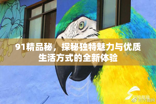91精品秘，探秘独特魅力与优质生活方式的全新体验