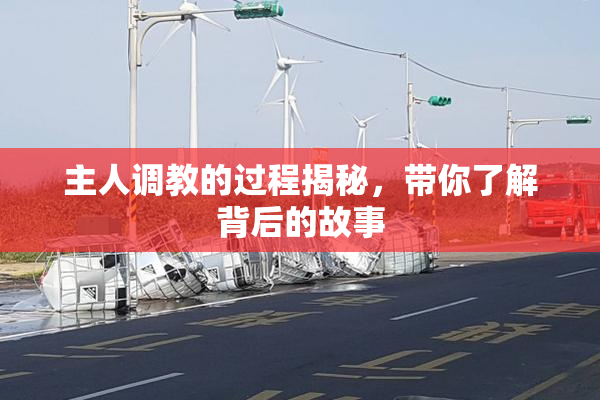 主人调教的过程揭秘，带你了解背后的故事