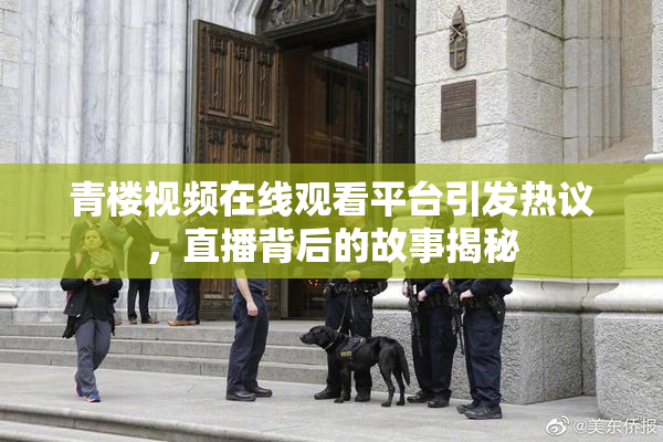 青楼视频在线观看平台引发热议，直播背后的故事揭秘
