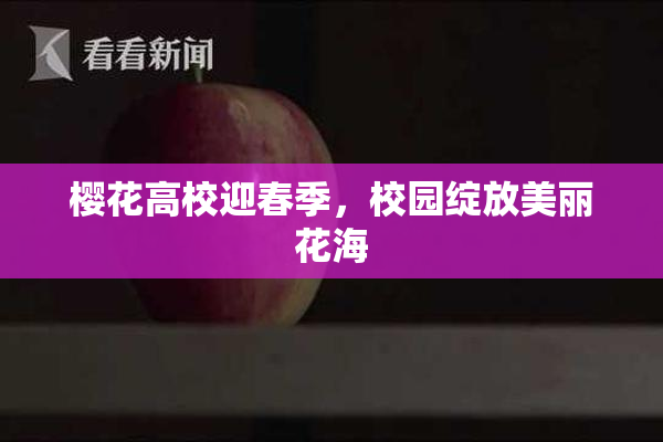 樱花高校迎春季，校园绽放美丽花海