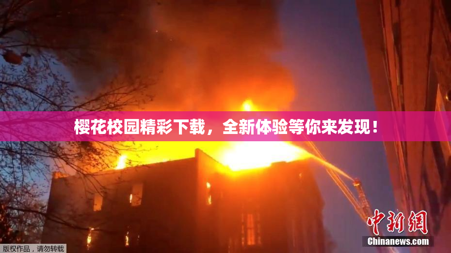 樱花校园精彩下载，全新体验等你来发现！