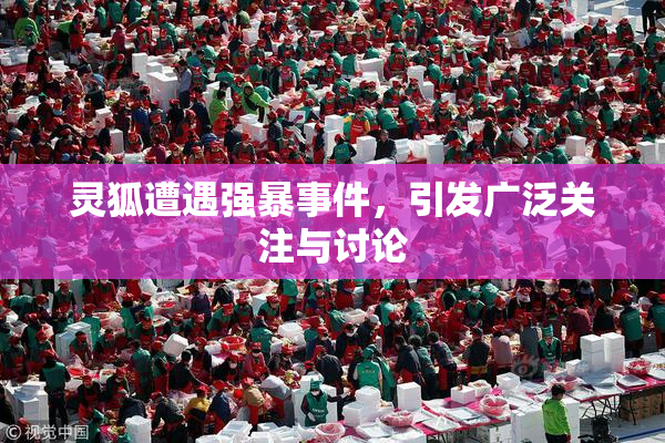 灵狐遭遇强暴事件，引发广泛关注与讨论