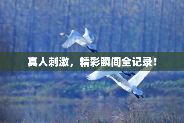 真人刺激，精彩瞬间全记录！