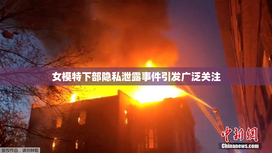 女模特下部隐私泄露事件引发广泛关注