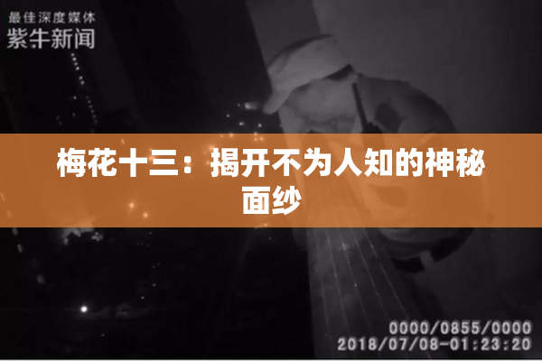 梅花十三：揭开不为人知的神秘面纱