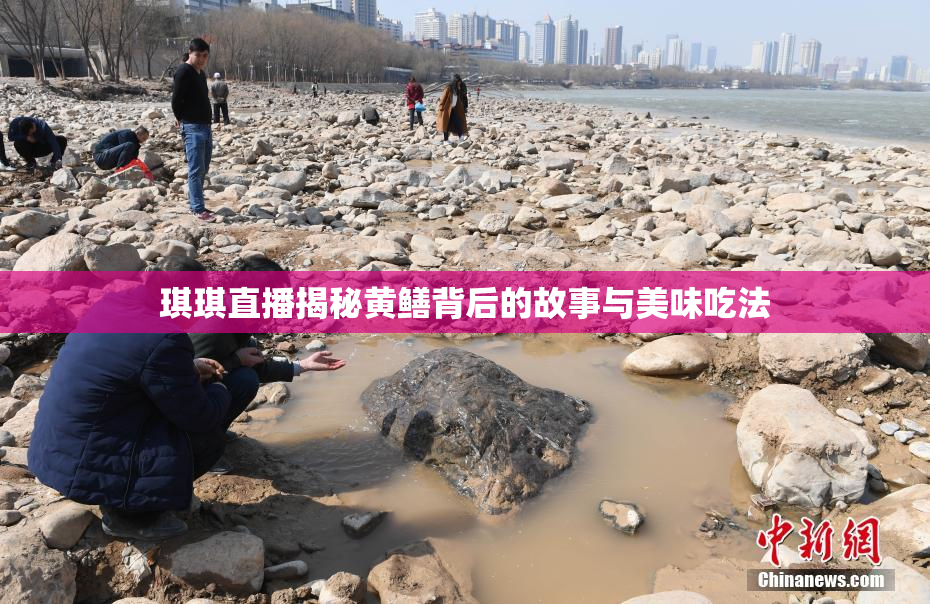 琪琪直播揭秘黄鳝背后的故事与美味吃法