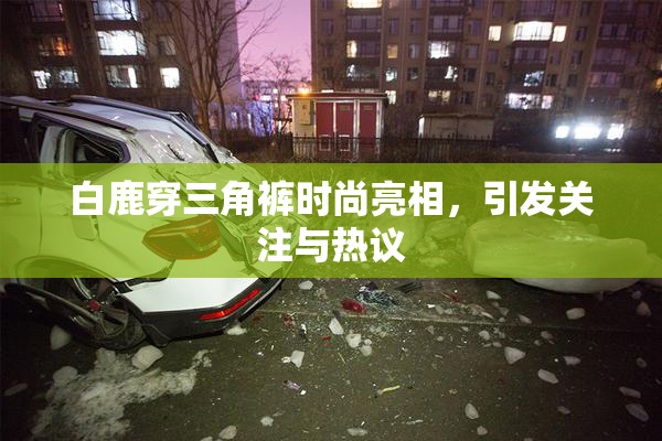白鹿穿三角裤时尚亮相，引发关注与热议