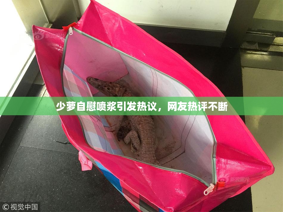 少萝自慰喷浆引发热议，网友热评不断