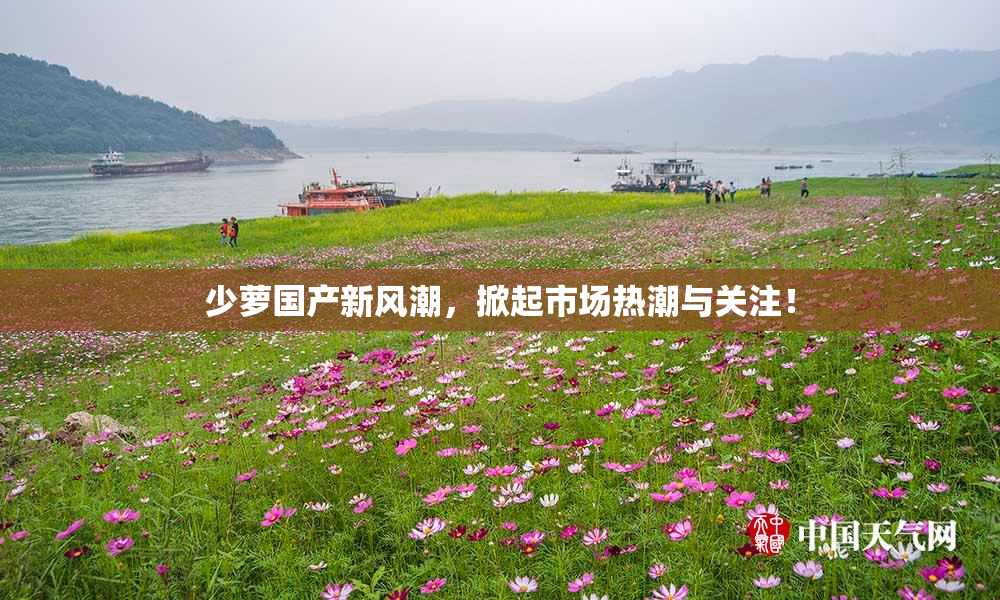 少萝国产新风潮，掀起市场热潮与关注！