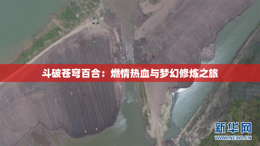 斗破苍穹百合：燃情热血与梦幻修炼之旅