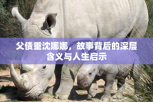 父债重沈娜娜，故事背后的深层含义与人生启示