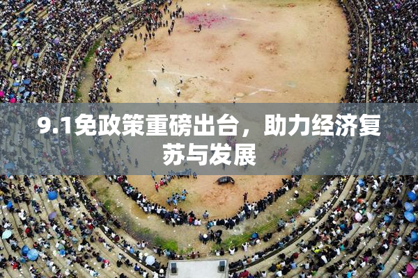 9.1免政策重磅出台，助力经济复苏与发展