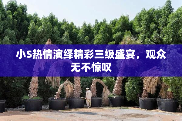 小S热情演绎精彩三级盛宴，观众无不惊叹
