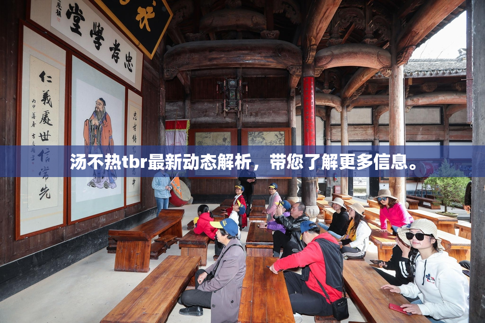 汤不热tbr最新动态解析，带您了解更多信息。