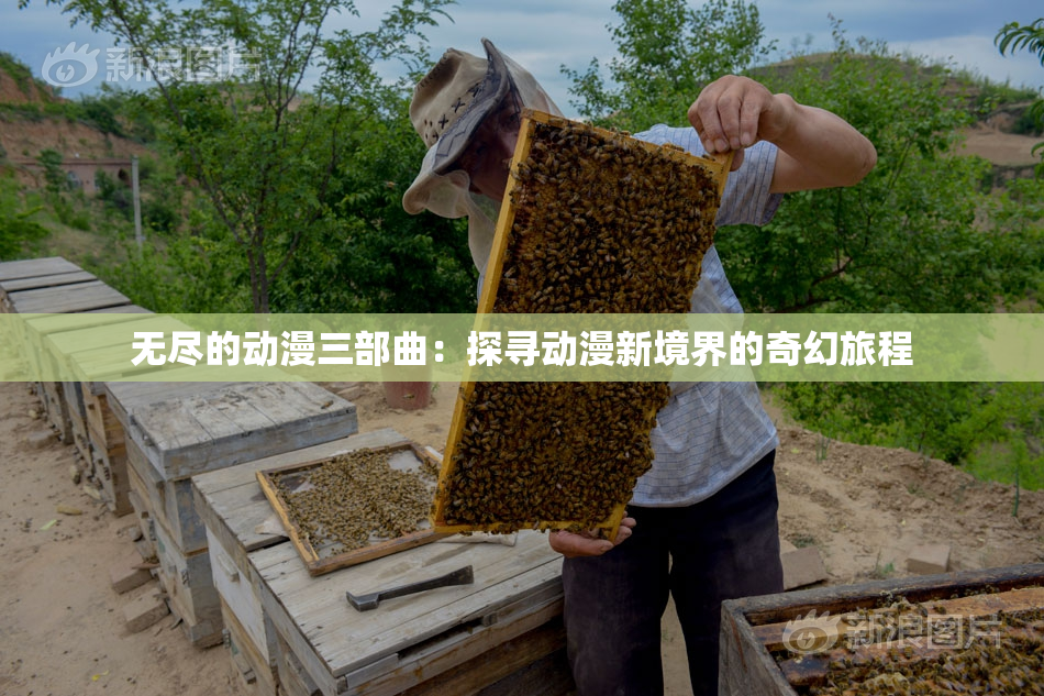 无尽的动漫三部曲：探寻动漫新境界的奇幻旅程