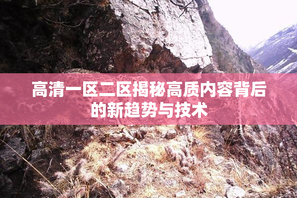 高清一区二区揭秘高质内容背后的新趋势与技术