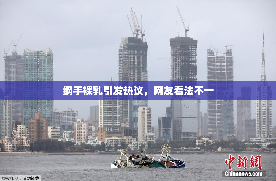 纲手裸乳引发热议，网友看法不一