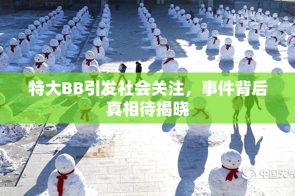特大BB引发社会关注，事件背后真相待揭晓