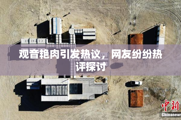 观音艳肉引发热议，网友纷纷热评探讨