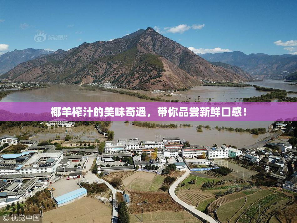 椰羊榨汁的美味奇遇，带你品尝新鲜口感！