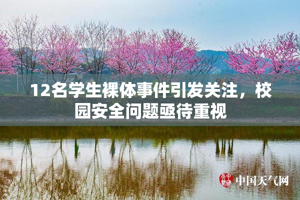 12名学生裸体事件引发关注，校园安全问题亟待重视
